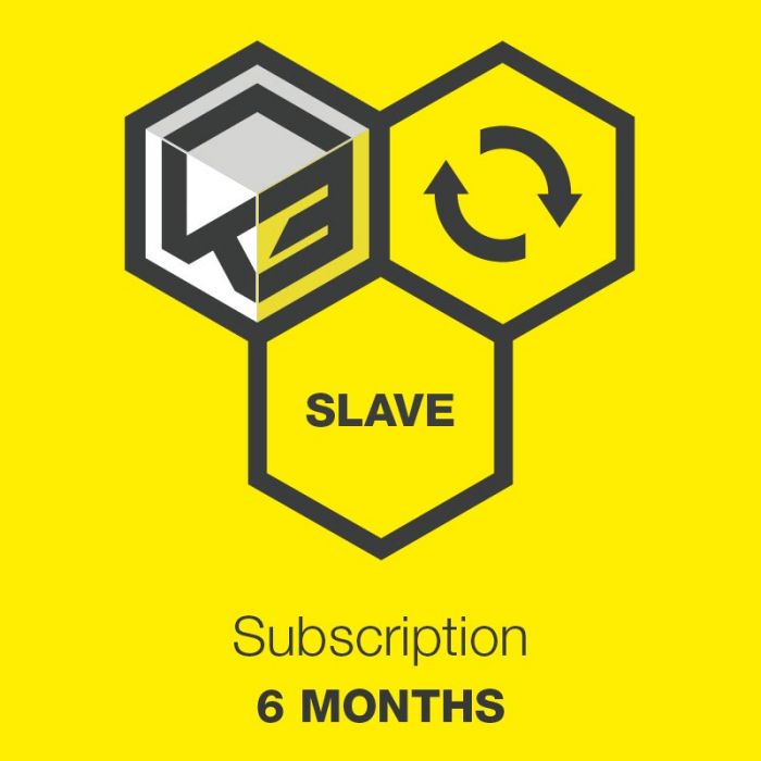 KESS3 Slave - 6 Months Subscription
