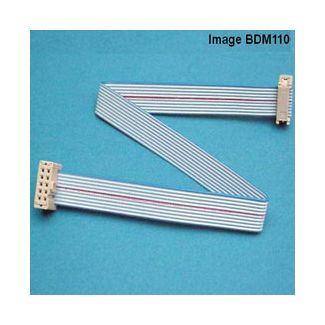 EVC - Interface cable for ECUs with original BDM pinout, 10pin - 10pin (BDM110)