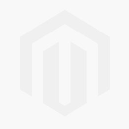 Swiftec Basic Annual Fee